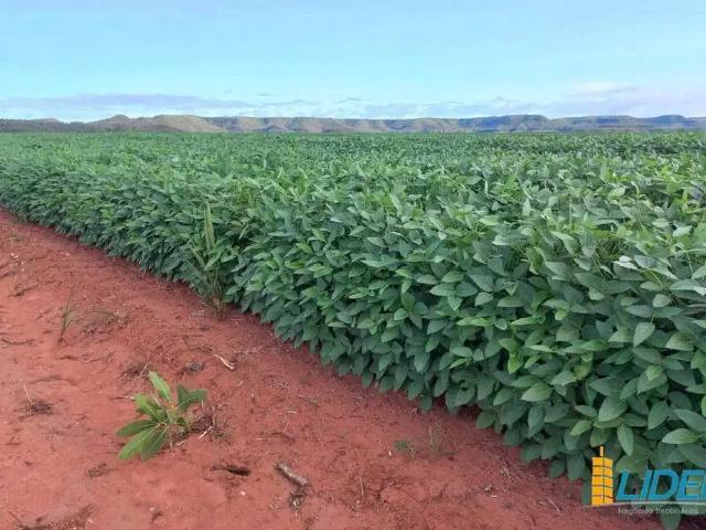 Sítio e chácara venda em Balsas, Região Nordeste
