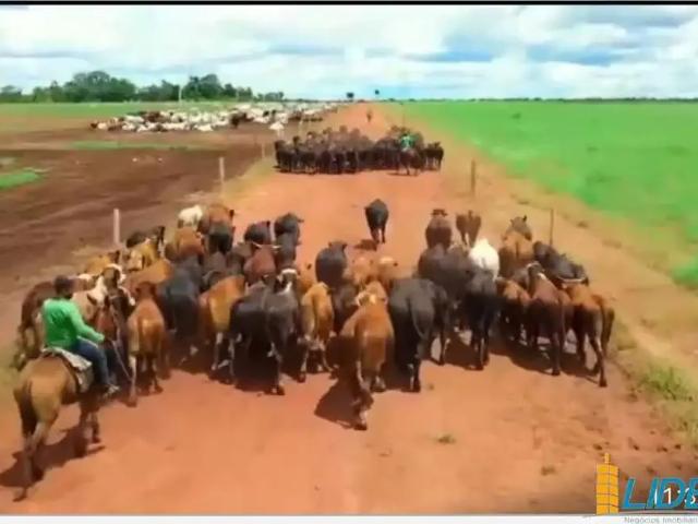 Sítio e chácara venda em Balsas, Região Nordeste