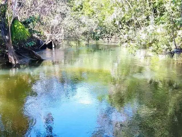 Sítio e chácara venda em Balsas, Região Nordeste