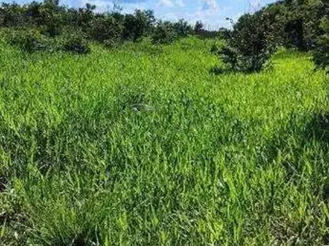 Sítio e chácara venda em Balsas, Região Nordeste