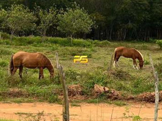 Sítio e chácara venda em Bananeiras, Região Geográfica Intermediária de João Pessoa