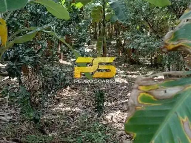 Sítio e chácara venda em Região Geográfica Imediata de Guarabira, Bananeiras