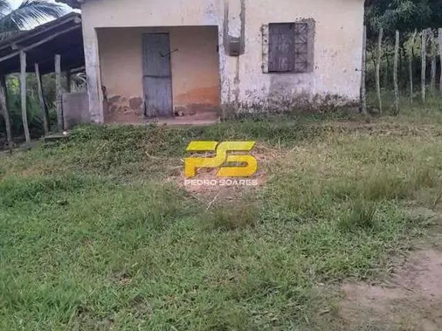 Sítio e chácara venda em Região Geográfica Imediata de Guarabira, Bananeiras