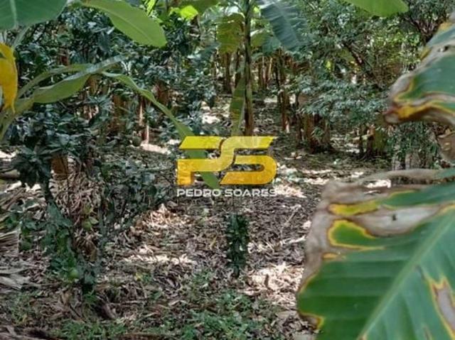 Sítio e chácara venda em Região Geográfica Imediata de Guarabira, Bananeiras