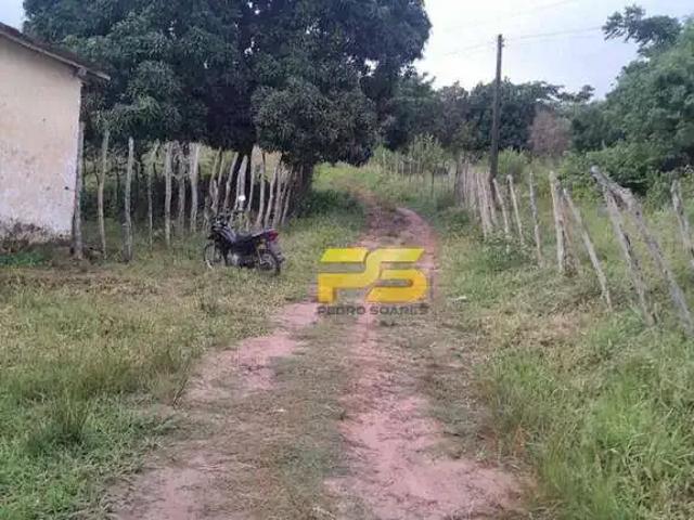 Sítio e chácara venda em Região Geográfica Imediata de Guarabira, Bananeiras