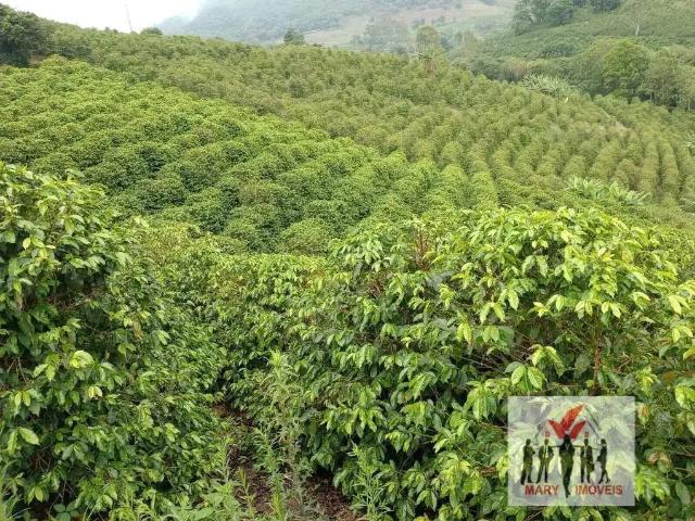 Sítio e chácara venda em Região Geográfica Imediata de Poços de Caldas, Bandeira do Sul