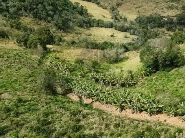 Sítio e chácara venda em Região Geográfica Imediata de Poços de Caldas, Bandeira do Sul