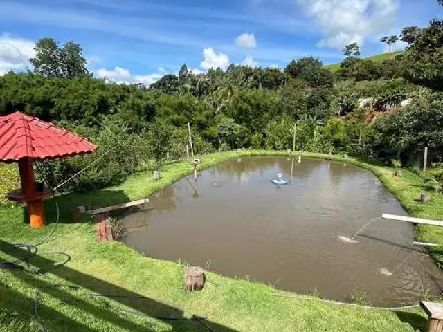 Sítio e chácara venda em Região Geográfica Imediata de Poços de Caldas, Bandeira do Sul