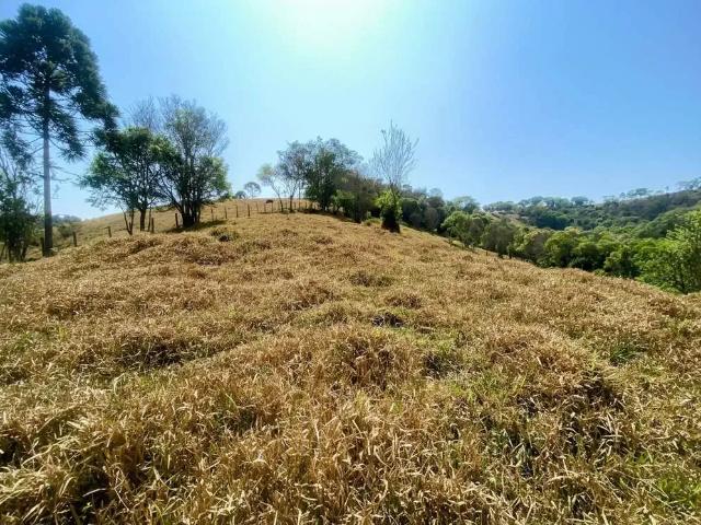 Sítio e chácara venda em Região Geográfica Imediata de Poços de Caldas, Bandeira do Sul