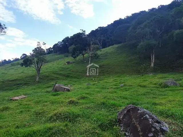 Sítio e chácara venda em Região Geográfica Imediata de Poços de Caldas, Bandeira do Sul