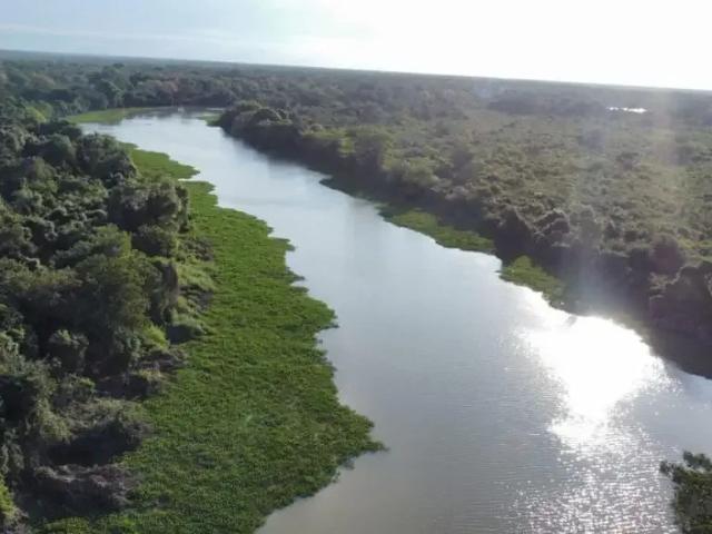 Sítio e chácara venda em Região Geográfica Imediata de Cuiabá, Barão de Melgaço