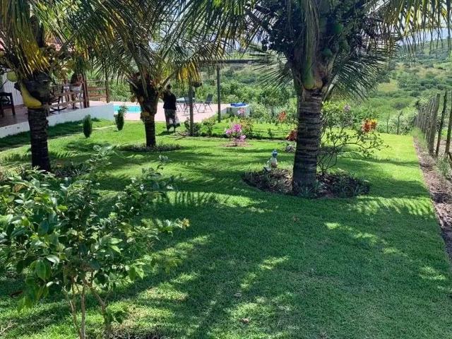 Sítio e chácara venda em Barra de Guabiraba