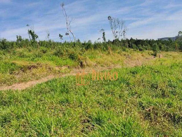 Sítio e chácara venda em Região Imediata de Itapeva, Barra do Chapéu