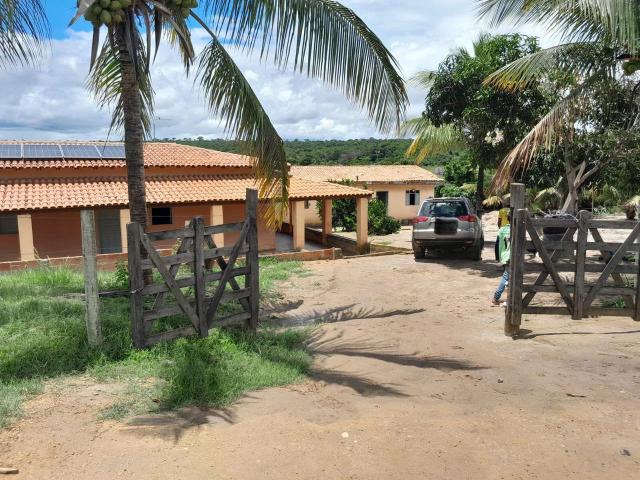 Sítio e chácara venda em Encruzilhada