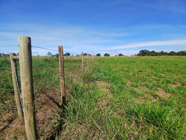 Sítio e chácara venda em Região Geográfica Imediata de Vitória da Conquista, Barra do Choça