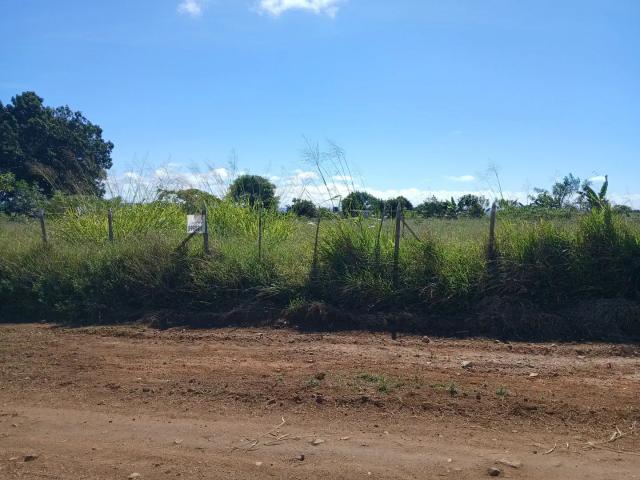 Sítio e chácara venda em Região Geográfica Imediata de Vitória da Conquista, Barra do Choça