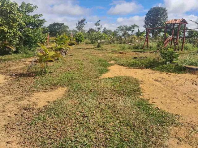 Sítio e chácara venda em Região Geográfica Imediata de Vitória da Conquista, Barra do Choça