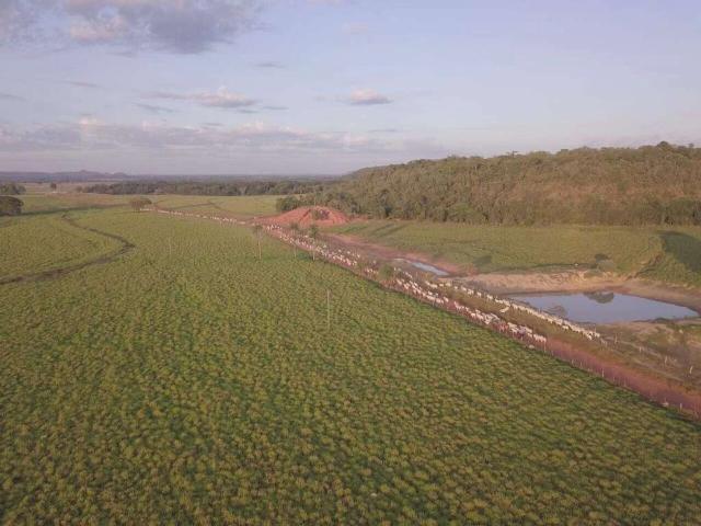 Sítio e chácara venda em Barra do Ouro, Região Geográfica Intermediária de Araguaína