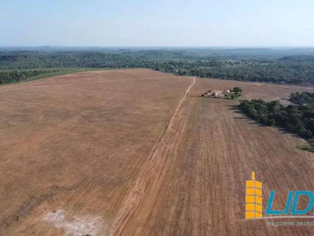 Sítio e chácara venda em Região Geográfica Imediata de Araguaína, Barra do Ouro