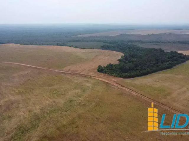 Sítio e chácara venda em Região Geográfica Imediata de Araguaína, Barra do Ouro