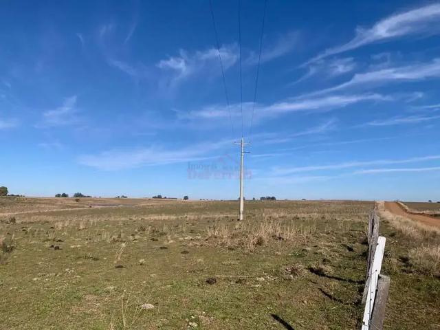 Sítio e chácara venda em Região Geográfica Imediata de Uruguaiana, Barra do Quaraí