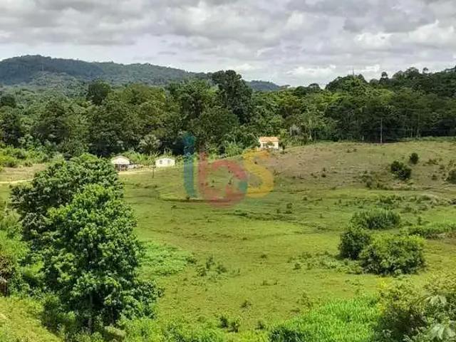 Sítio e chácara venda em Barra do Rocha, Região Nordeste