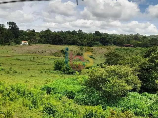 Sítio e chácara venda em Barra do Rocha, Região Nordeste