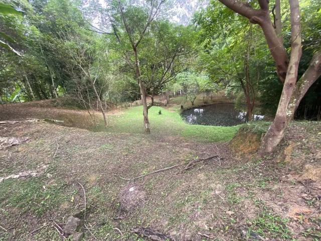 Sítio e chácara venda em Região Geográfica Imediata de Volta Redonda-Barra Mansa, Barra Mansa