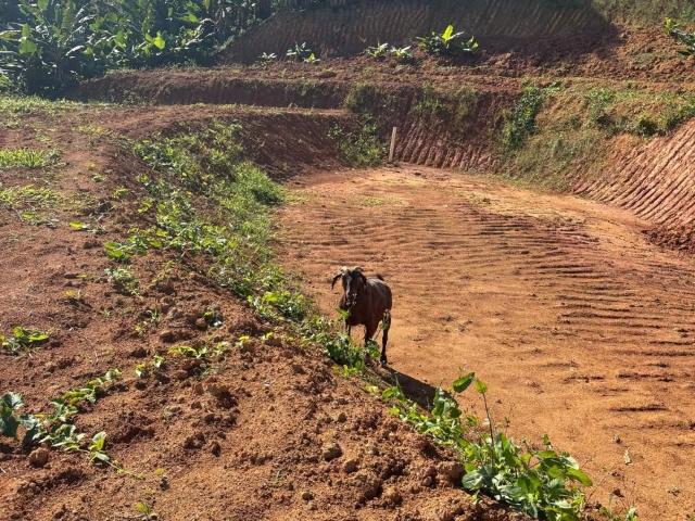 Sítio e chácara venda em Região Geográfica Imediata de Itajaí, Barra Velha