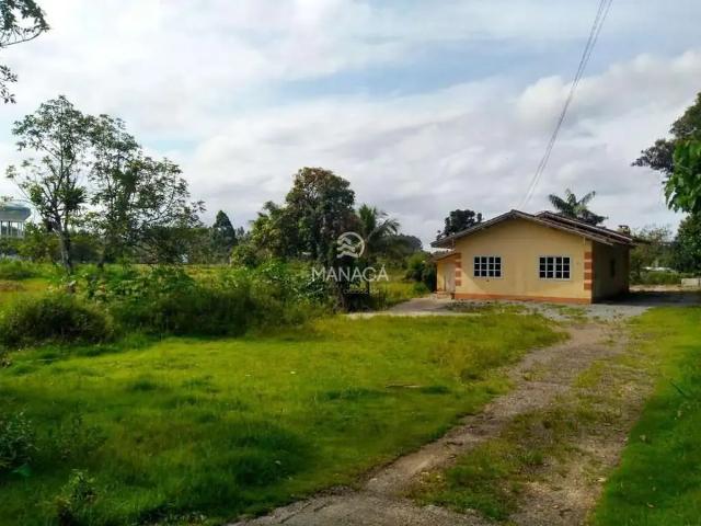 Sítio e chácara venda em Região Imediata de Ribeirão Preto, Região Metropolitana de Ribeirão Preto