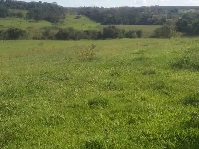 Sítio e chácara venda em Região Imediata de Barretos, Barretos
