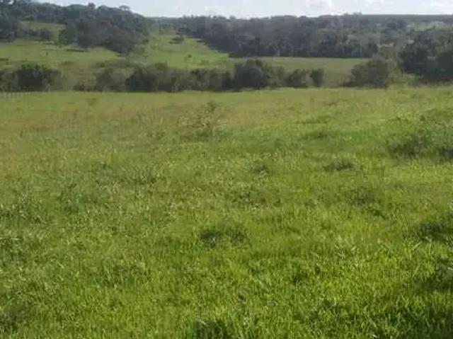 Sítio e chácara venda em Região Imediata de Barretos, Barretos