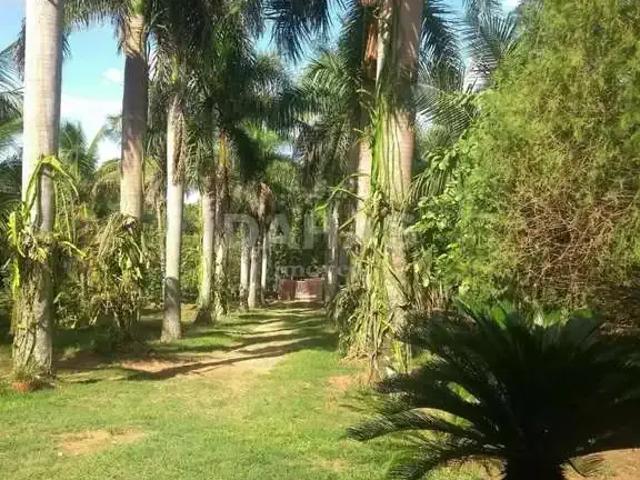 Sítio e chácara venda em Região Imediata de Barretos, Barretos