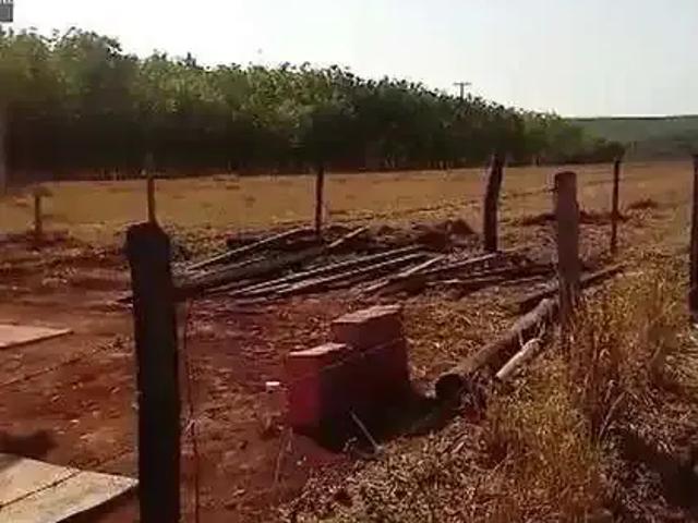 Sítio e chácara venda em Região Imediata de Barretos, Barretos