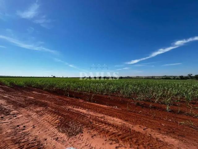 Sítio e chácara venda em Região Imediata de Barretos, Barretos