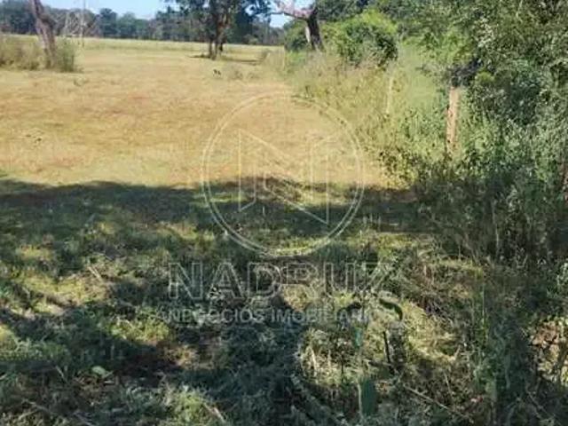 Sítio e chácara venda em Região Imediata de Barretos, Barretos