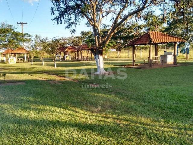 Sítio e chácara venda em Barretos, Região Geográfica Intermediária de Ribeirão Preto