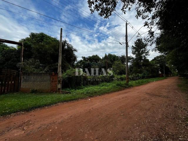 Sítio e chácara venda em Barretos, Região Geográfica Intermediária de Ribeirão Preto