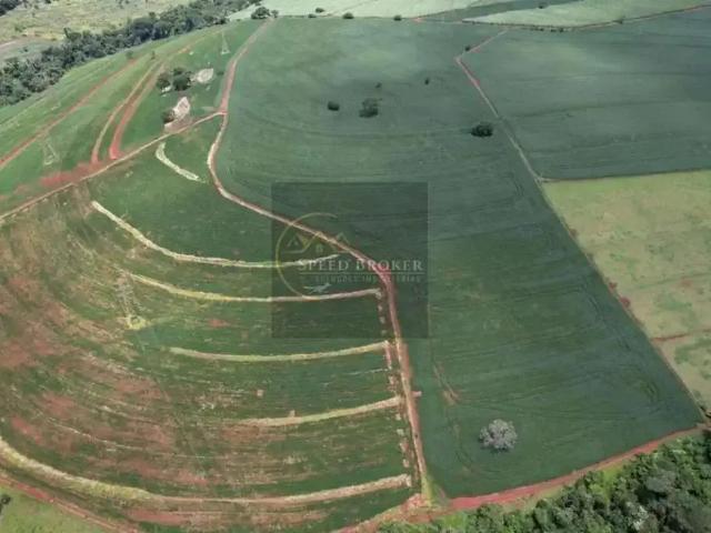 Sítio e chácara venda em Região Imediata de Ribeirão Preto, Região Metropolitana de Ribeirão Preto