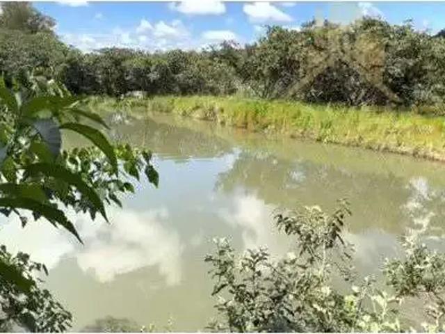 Sítio e chácara venda em Região Imediata de Bauru, Pederneiras