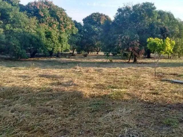 Sítio e chácara venda em Região Imediata de Bauru, Bauru