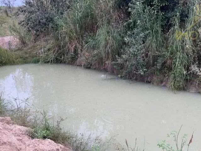 Sítio e chácara venda em Região Imediata de Bauru, Pederneiras