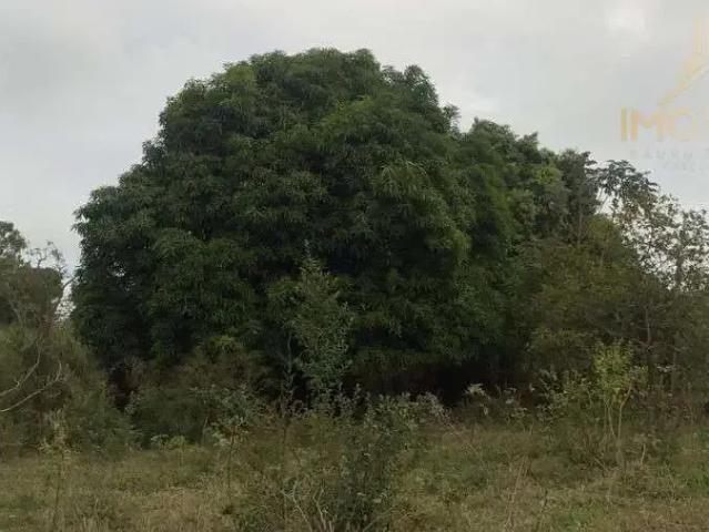 Sítio e chácara venda em Região Imediata de Bauru, Bauru