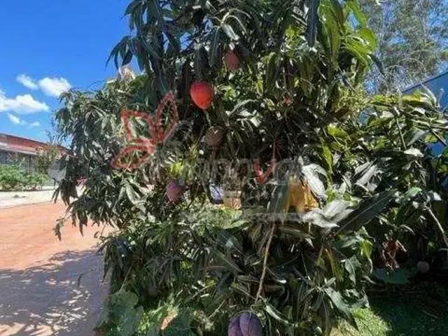 Sítio e chácara venda em Região Imediata de Bauru, Bauru