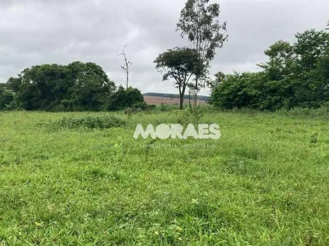 Sítio e chácara venda em Região Imediata de Bauru, Bauru