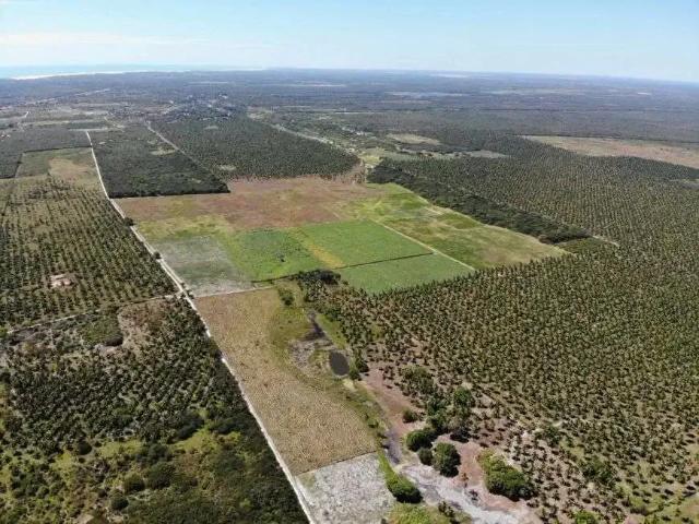 Sítio e chácara venda em Região Geográfica Imediata de Fortaleza, Beberibe