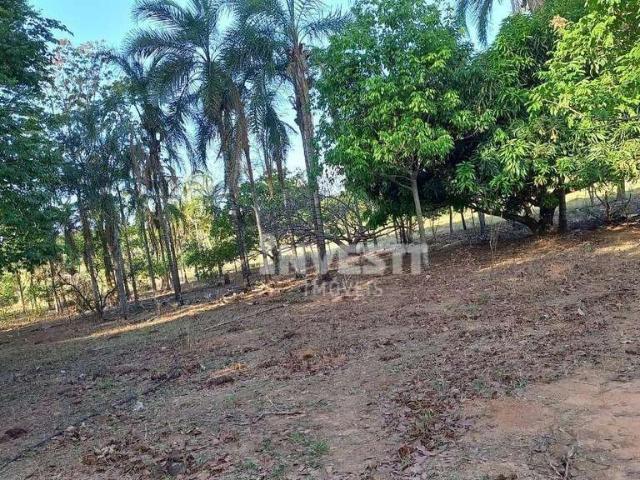 Sítio e chácara venda em Setor Dona Benedita, Bela Vista de Goiás