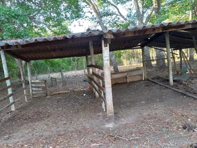 Sítio e chácara venda em Recanto da Mata, Bela Vista de Goiás