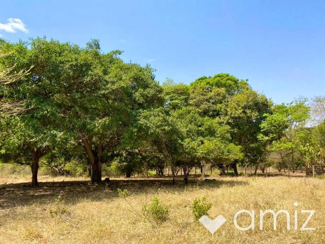 Sítio e chácara venda em Recanto da Mata, Bela Vista de Goiás