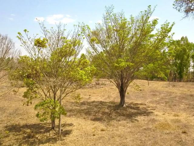 Sítio e chácara venda em Região Geográfica Imediata de Goiânia, Bela Vista de Goiás